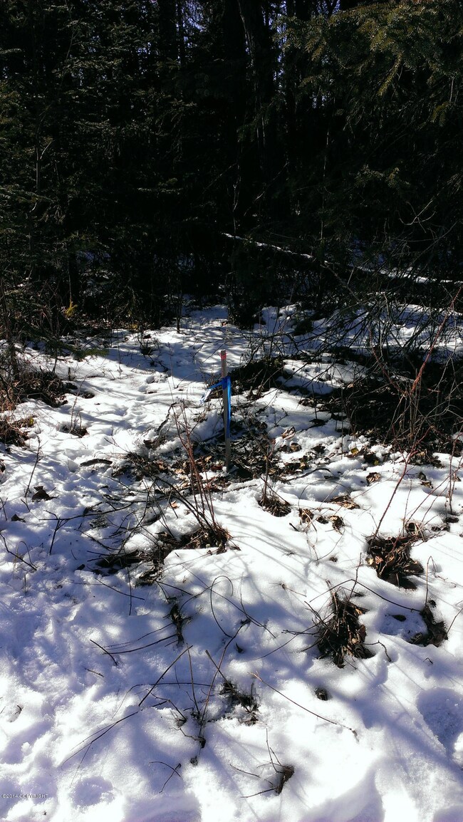 SE staked lot corner