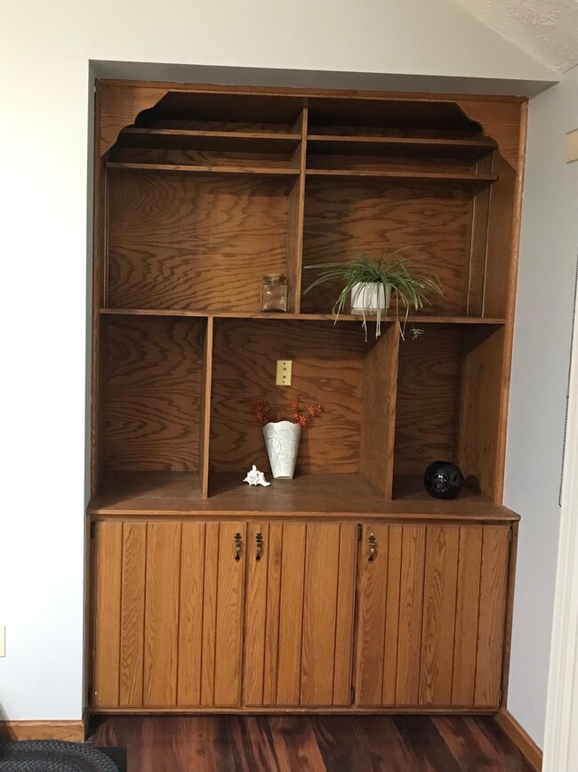 IMG_0339 built-in cabinet