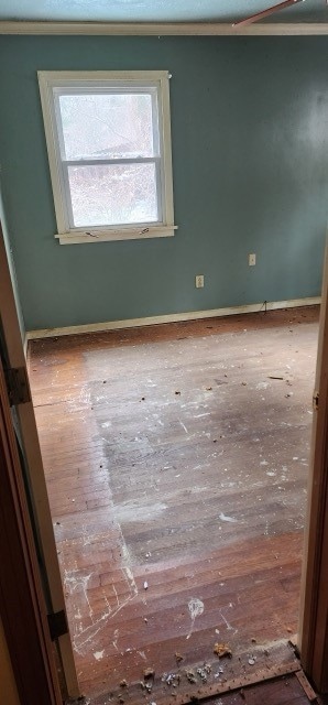 42 Forest Rd, Ambridge, PA 15003 - photo 7