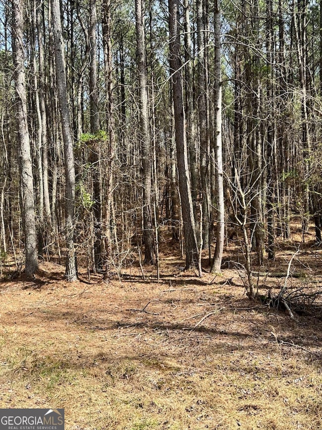 0 Autry Rd SW unit 10489984, Plainville, GA 30733 - photo 3