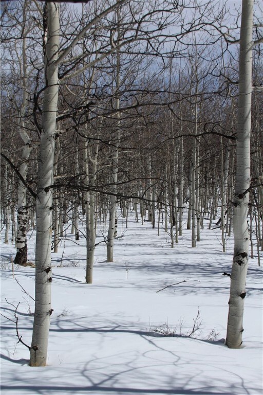 568 Dry Lake Rd, Fairplay, CO 80440 - photo 3