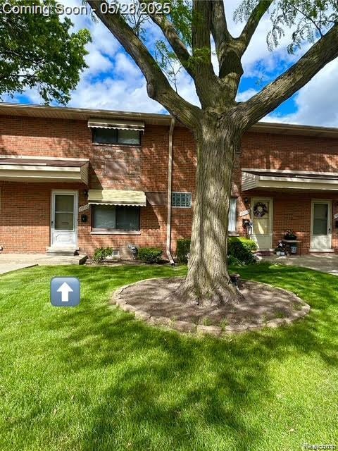 beautiful shade tree out front