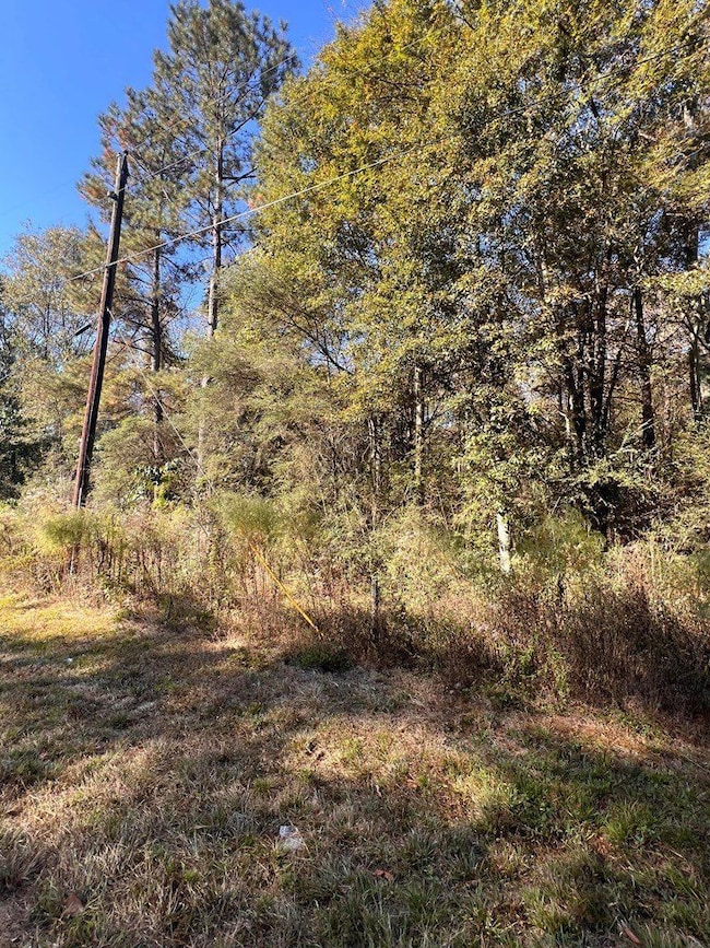 Z C Rushing Rd, Tylertown, MS 39667 - photo 2