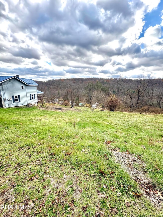 250 Clarion Rd, Cherry Tree, PA 15724 - photo 6