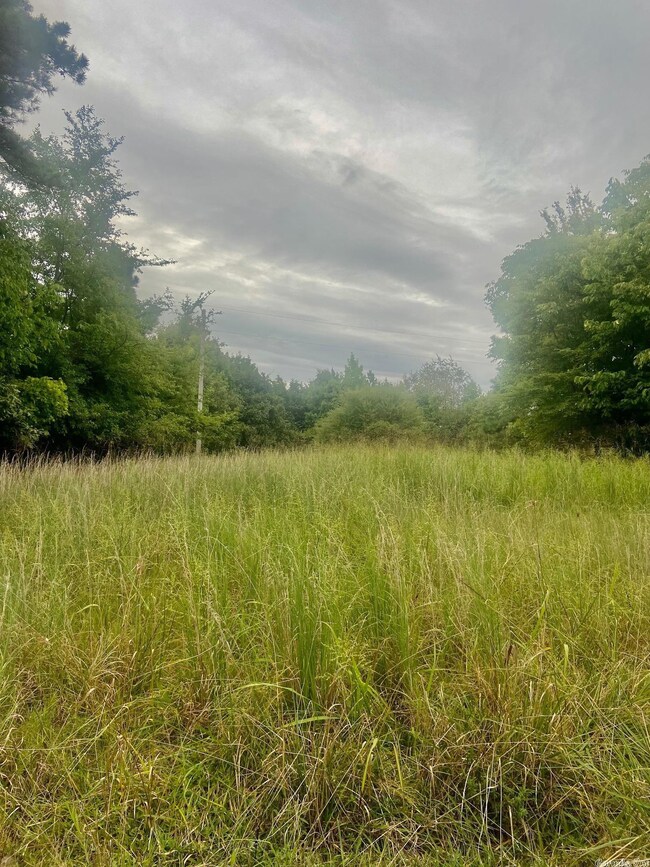 2053 Greene 624 Rd, Paragould, AR 72450 - photo 3