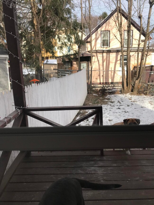 Back deck and view