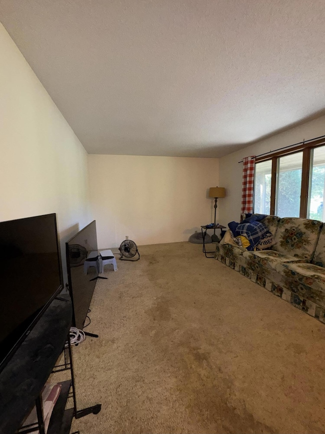 50739 Pleasant St, Dowagiac, MI 49047 - photo 4