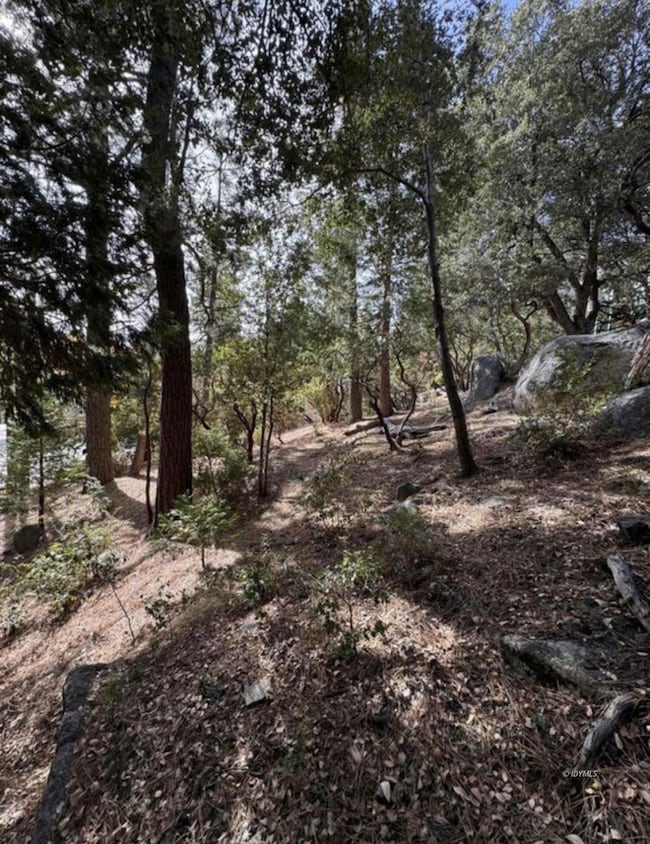 53642 Jeffery Pine Rd, Idyllwild-Pine Cove, CA 92549 - photo 7