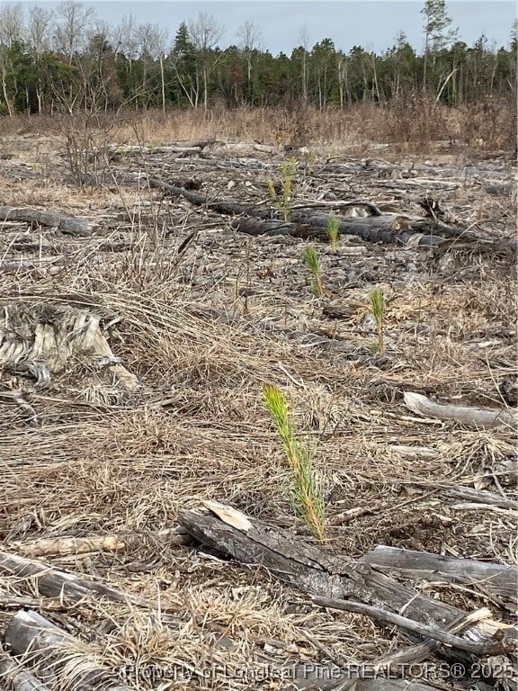 7399 Burney Rd, White Oak, NC 28399 - photo 4