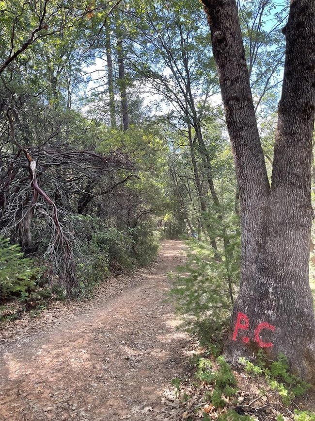 0 Loggers Trail, Colfax, CA 95713 - photo 4