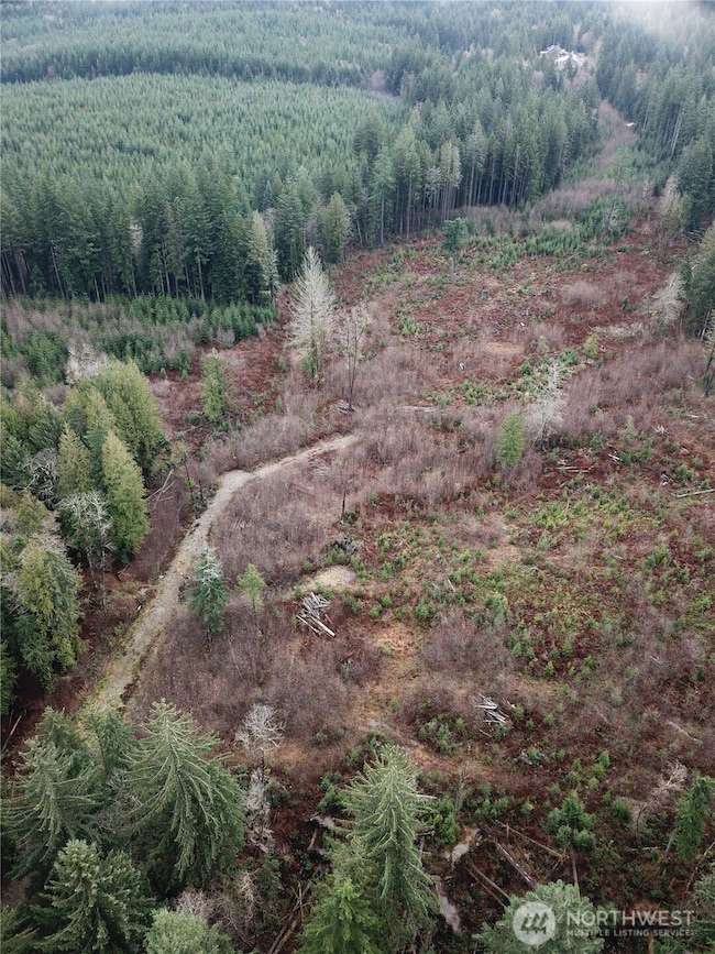 0 364th Ave SE, Maple Valley, WA 98038 - photo 4