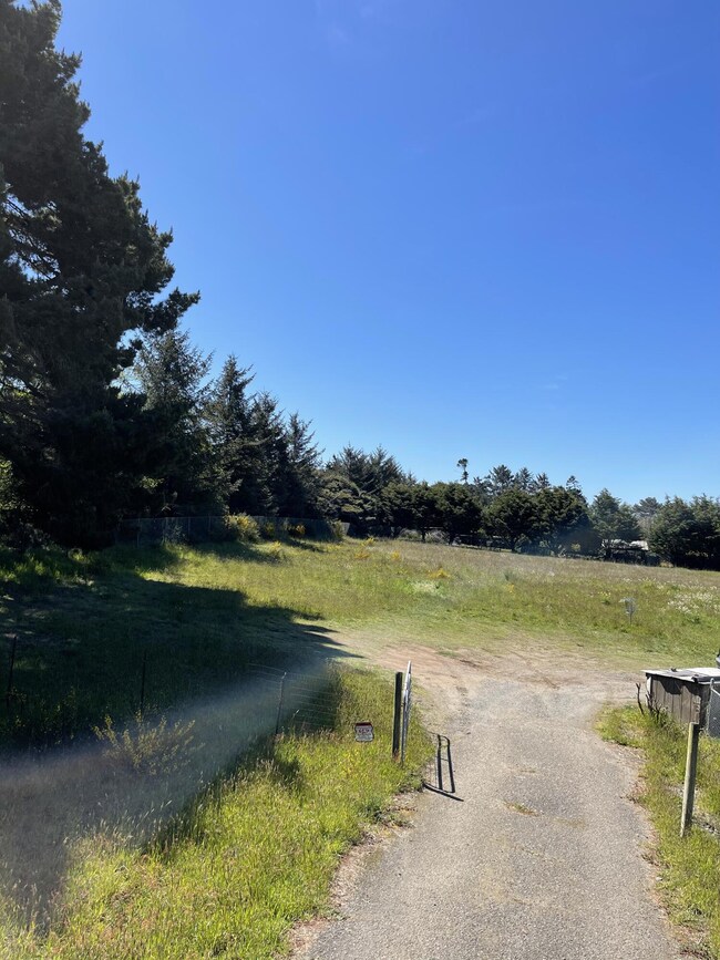 936 Hiller Rd, McKinleyville, CA 95519 - photo 7