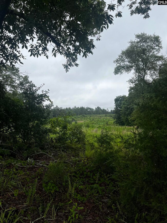 703 Neds Creek Rd, Kershaw, SC 29067 - photo 5