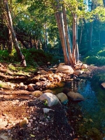 Bonita Creek