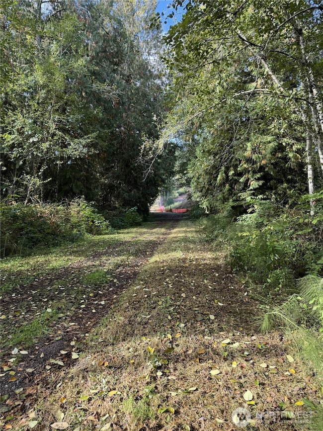 Private, dead-end road looking west toward property gate.