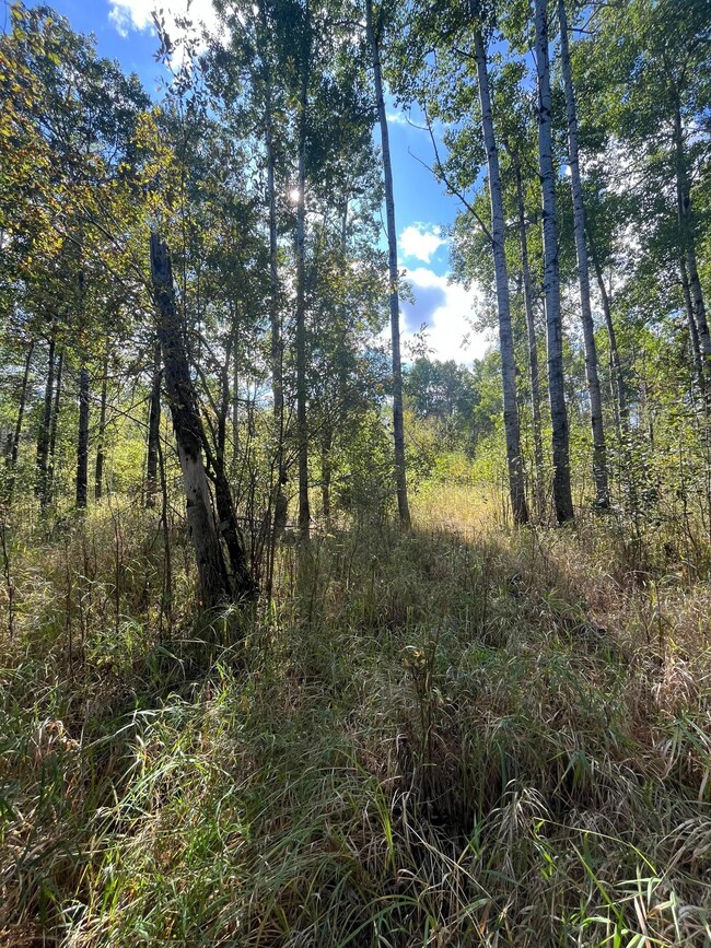 TBD E Pine Dr, Angle Inlet, MN 56711 - photo 4