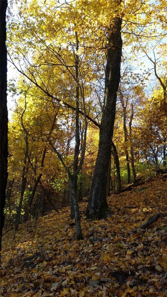 TBD (86 ac mol) Pine Tree Rd, Prairie Grove, AR 72753 - photo 6