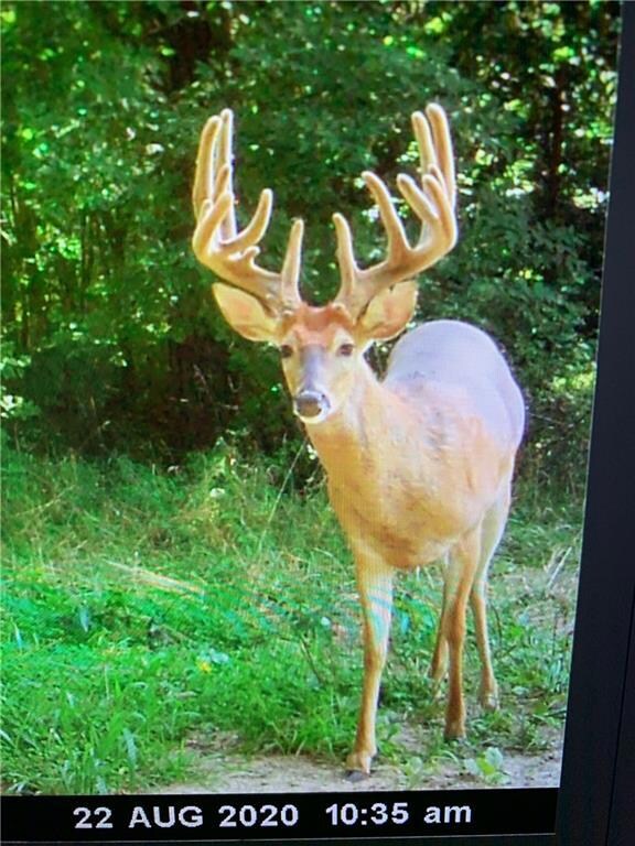 0 327 St, Albany, MO 64402 - photo 5