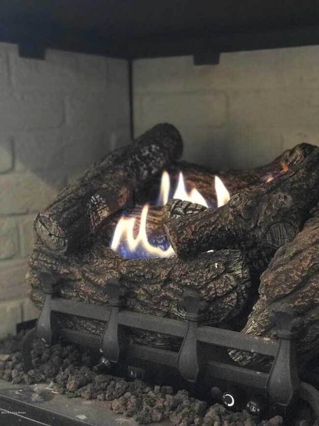 223 Potomac Bend Way, Mount Washington, KY 40047 - photo 5