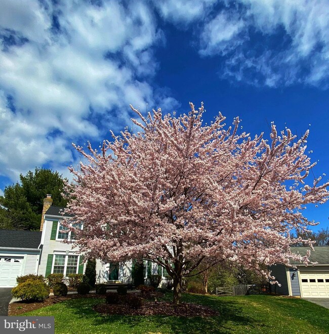 1616 Spottsworth Way, Silver Spring, MD 20905 - photo 5