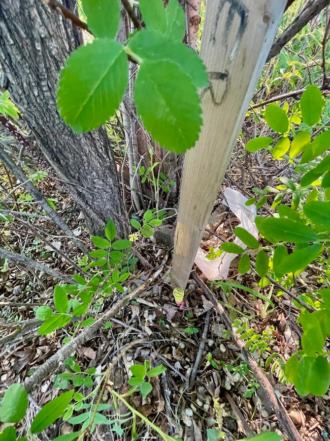 85 Arrowhead Ln, Moose Lake, MN 55767 - photo 7