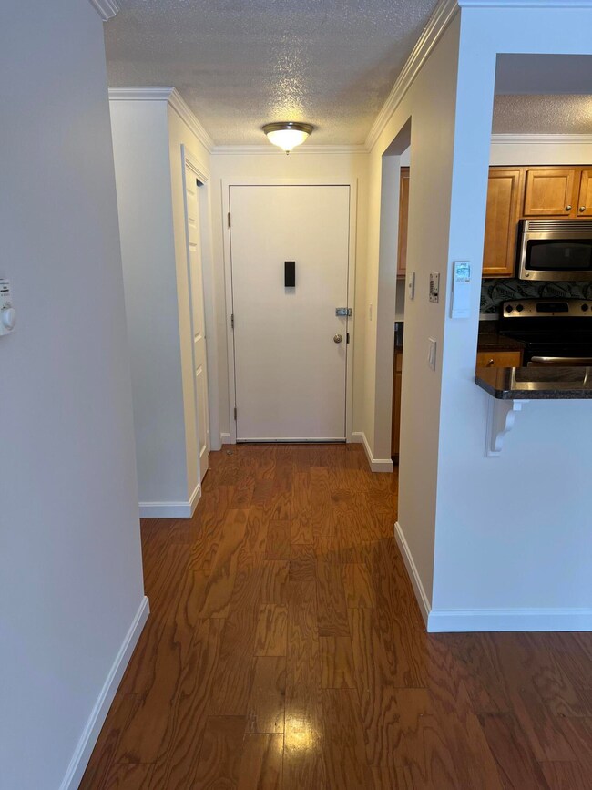 Hall to door