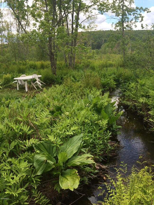 Year round brook on property