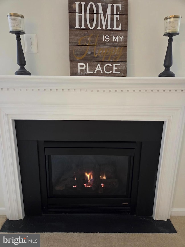 15612 Everglade Ln unit 106, Bowie, MD 20716 - photo 2