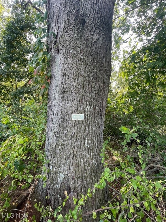 10411 Scatell St NW, Canal Fulton, OH 44614 - photo 4