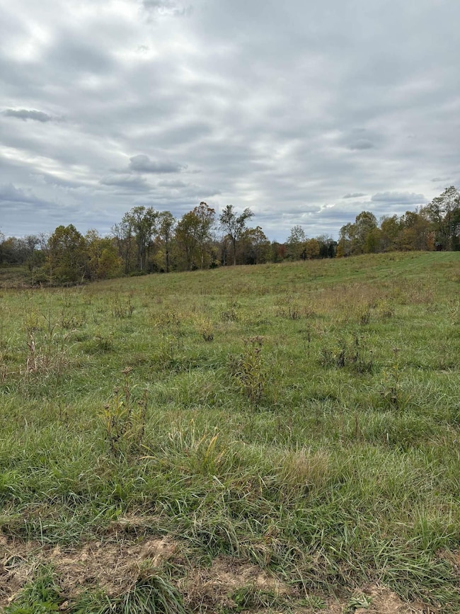 Pine Grove Ch Rd, Vanceburg, KY 41179 - photo 2