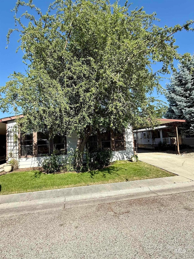 View of property hidden behind natural elements with a carport, a front yard, and driveway