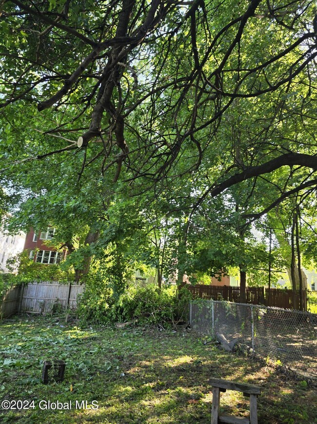 454 Livingston Ave, Albany, NY 12206 - photo 6