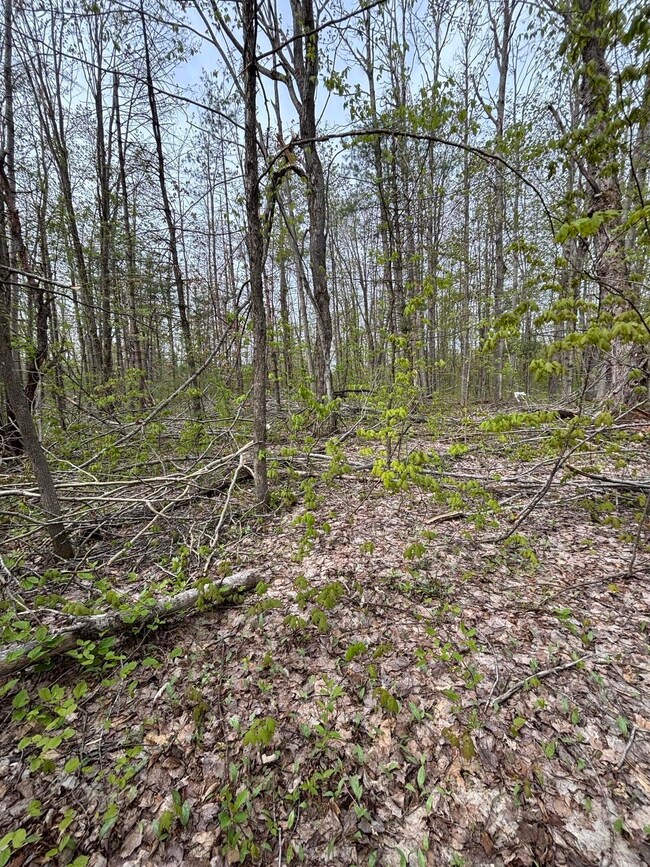 Forestview