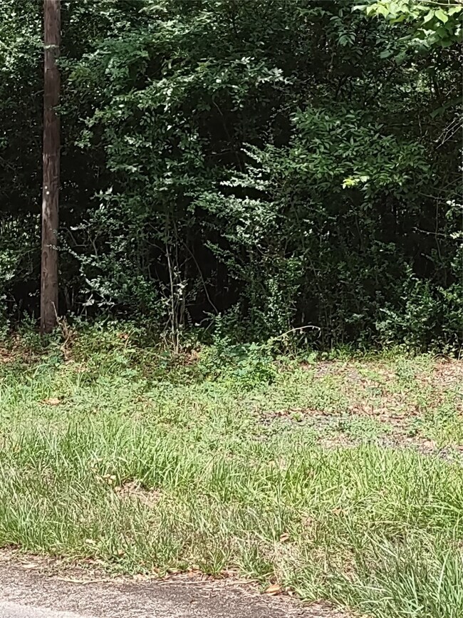 26707 Apache Trail, Magnolia, TX 77354 - photo 4