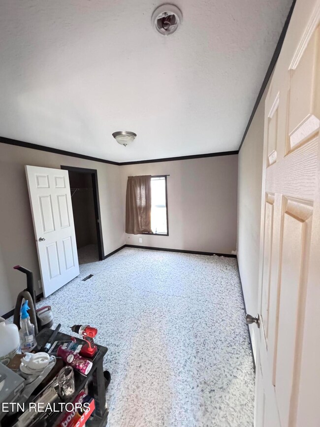 image3 (4)