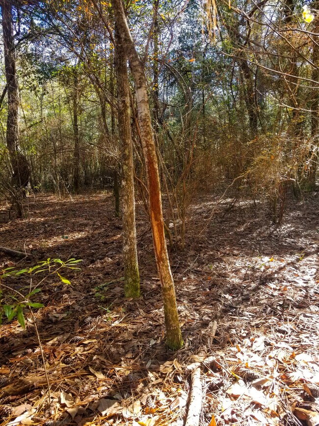 Cannon Road Tract (12)-2