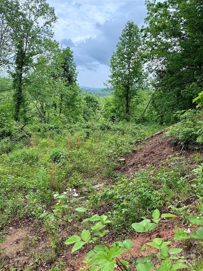 12 Willow Knoll Dr, Weaverville, NC 28787 - photo 3