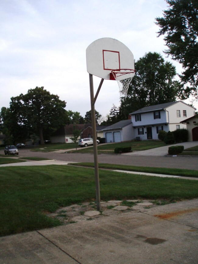 basketball hoop