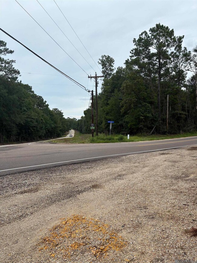 83166 Isabel Swamp Rd, Bush, LA 70431 - photo 5