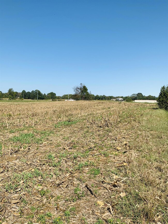 1160 Payne Rd, Portland, TN 37148 - photo 5