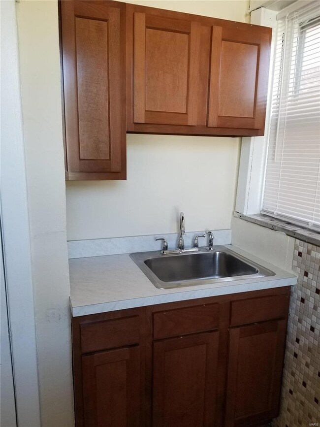 5231 Bancroft Ave unit 1W, Saint Louis, MO 63109 - photo 5