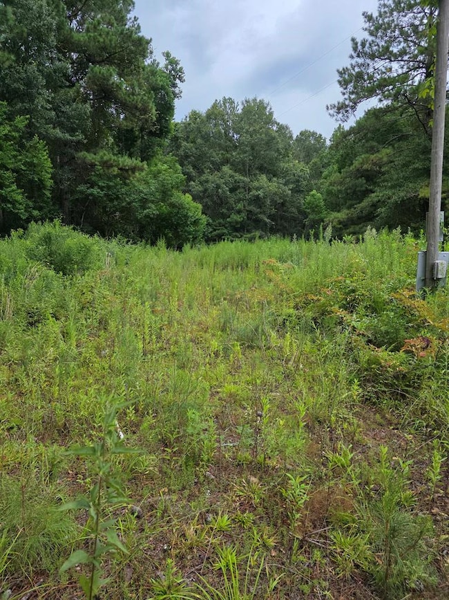 3157 Us Highway 98, McComb, MS 39648 - photo 6