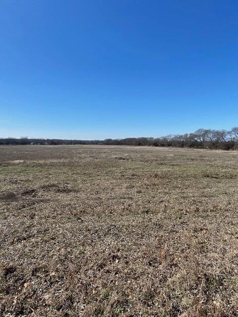 0 County Road 4045, Ector, TX 75439 - photo 4
