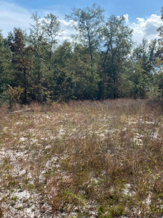 0 Ashley Hall Rd unit 393085, Crawfordville, FL 32327 - photo 5