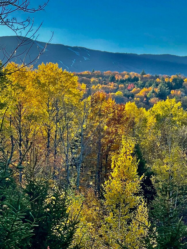 136 Old Quarry Rd, Fayston, VT 05673 - photo 7