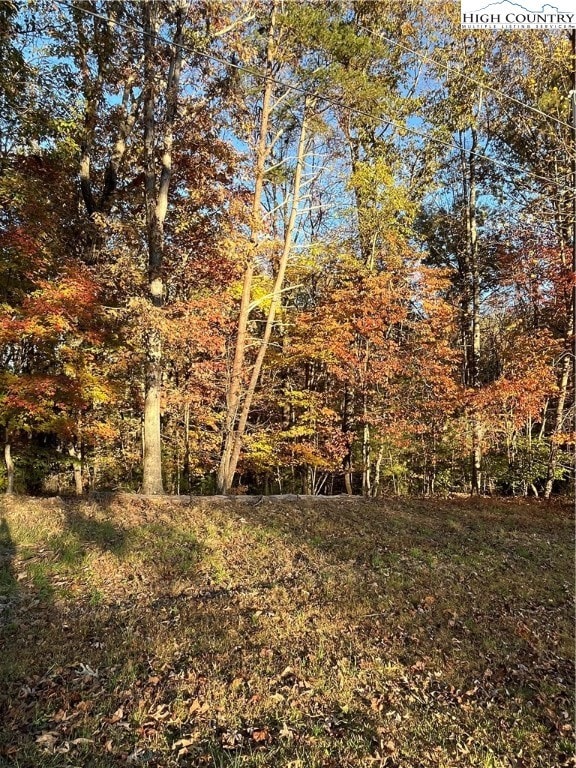 Lot 44 wooded area