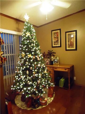 254 N Waite St, Manchester, TN 37355 - photo 3