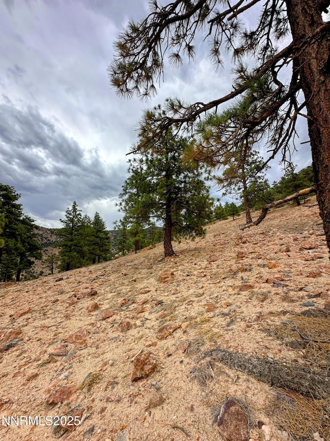 0 Geiger Grade unit 250053963, Reno, NV 89521 - photo 5