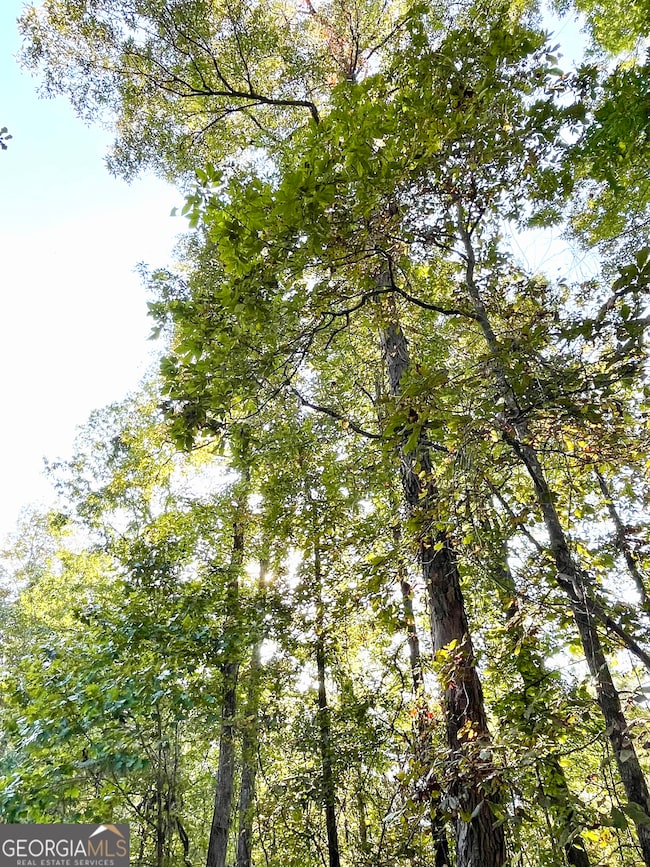 0 Highway 36 E unit 10652520, Jackson, GA 30233 - photo 5