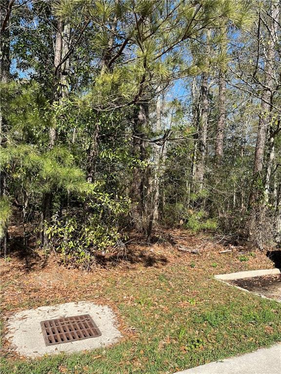 0 General Pershing St, Mandeville, LA 70448 - photo 3